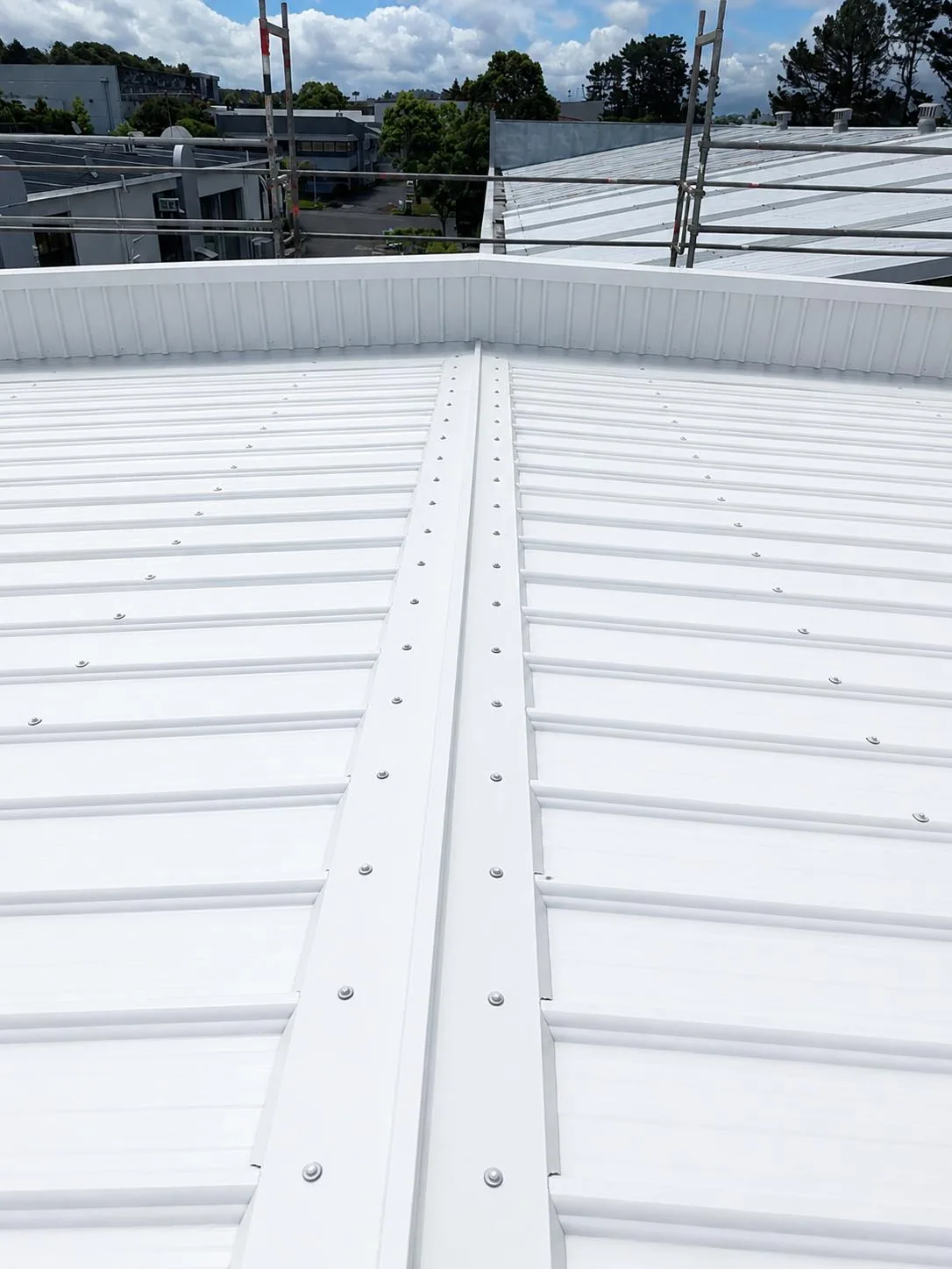 Residential re-roof, Auckland